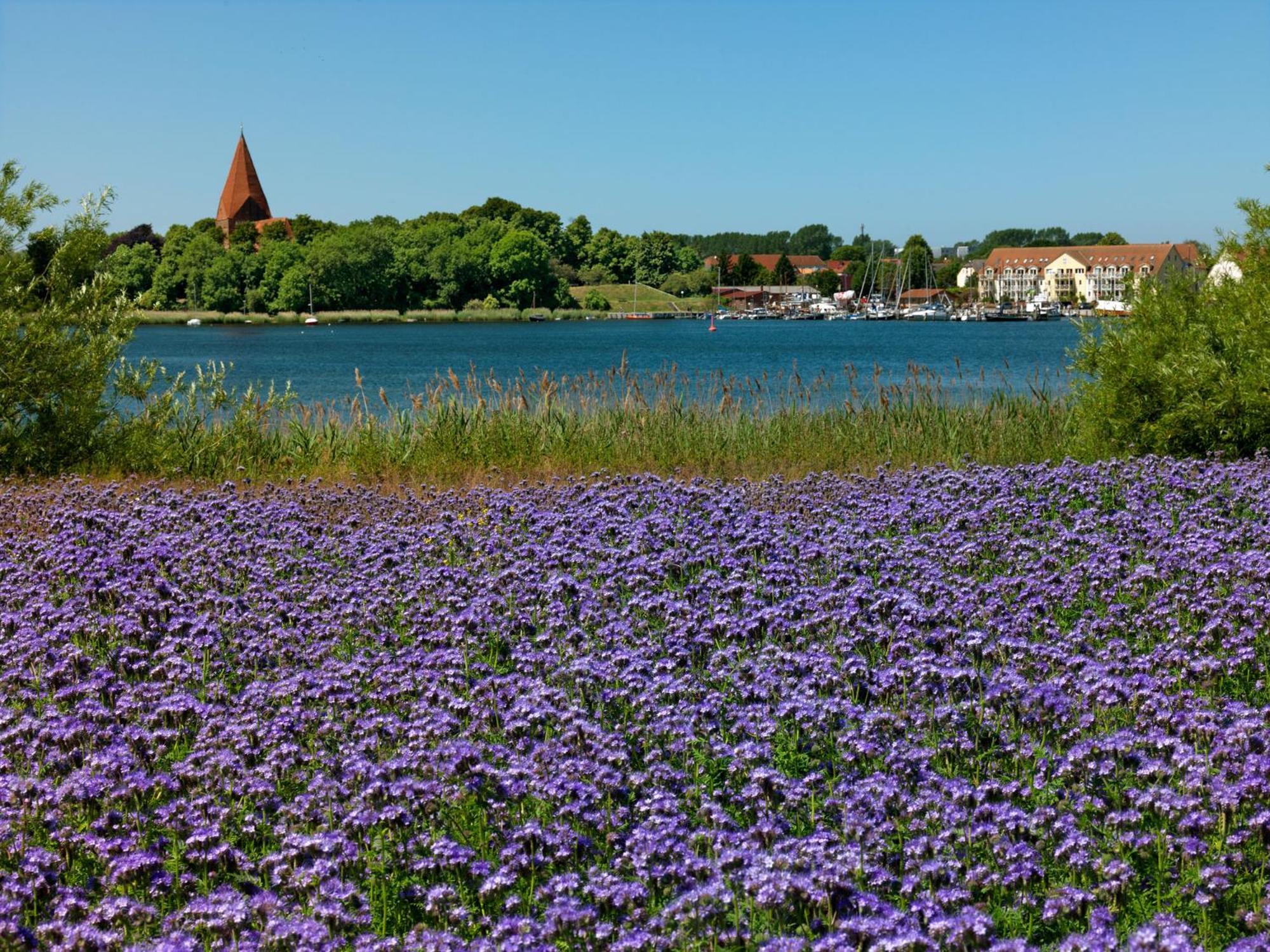 شقة Residenz Am Yachthafen Windspiel Kirchdorf  المظهر الخارجي الصورة